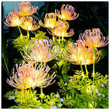 Fanciful Fairy Flowers (2-Pack)
