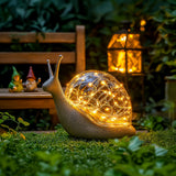 Sparkling Shell Snail