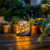 Sparkling Shell Snail