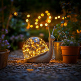 Sparkling Shell Snail