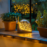 Sparkling Shell Snail