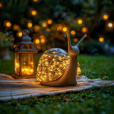 Sparkling Shell Snail