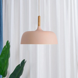 Nordic LED Pendant Lights