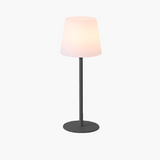 Modern LED Cordless Table Lamp