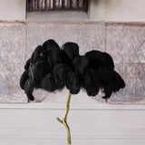 Ostrich Feather Floor Lamp