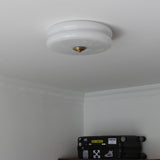 Art Deco Vintage Ceiling Light