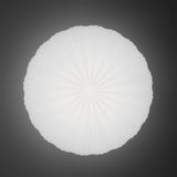 Robby Ceiling Light