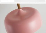 Nordic LED Pendant Lights