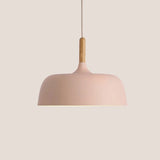 Nordic LED Pendant Lights