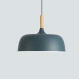 Nordic LED Pendant Lights